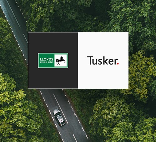 LBG-Tusker-jpeg-2.jpg